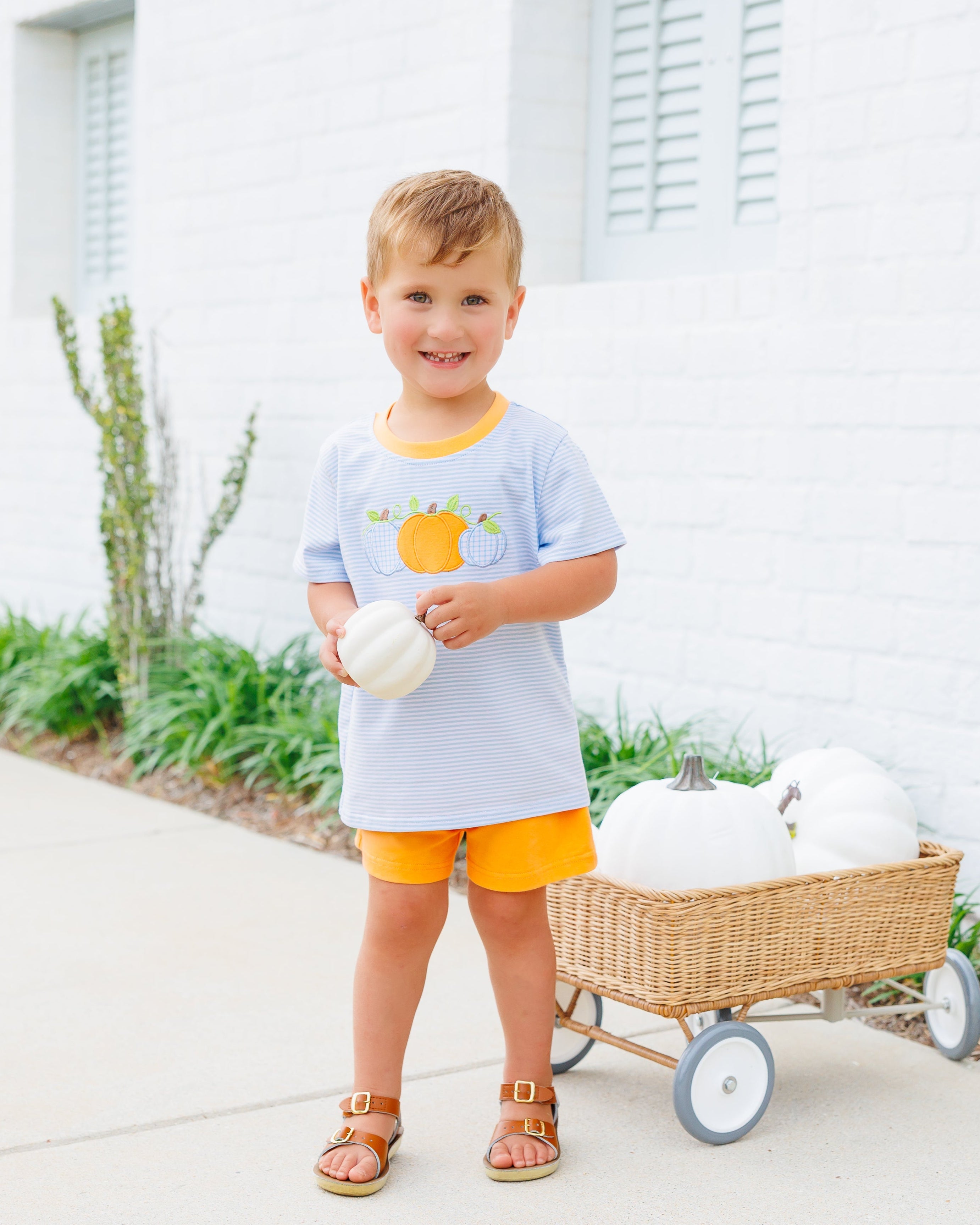 Harvest Trio Short Set